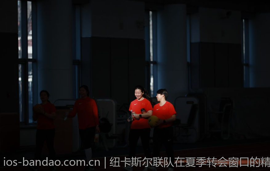 纽卡斯尔联队在夏季转会窗口的精彩操作