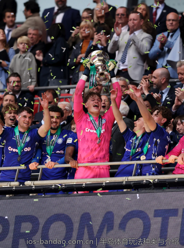 半岛体育玩法种类与介绍